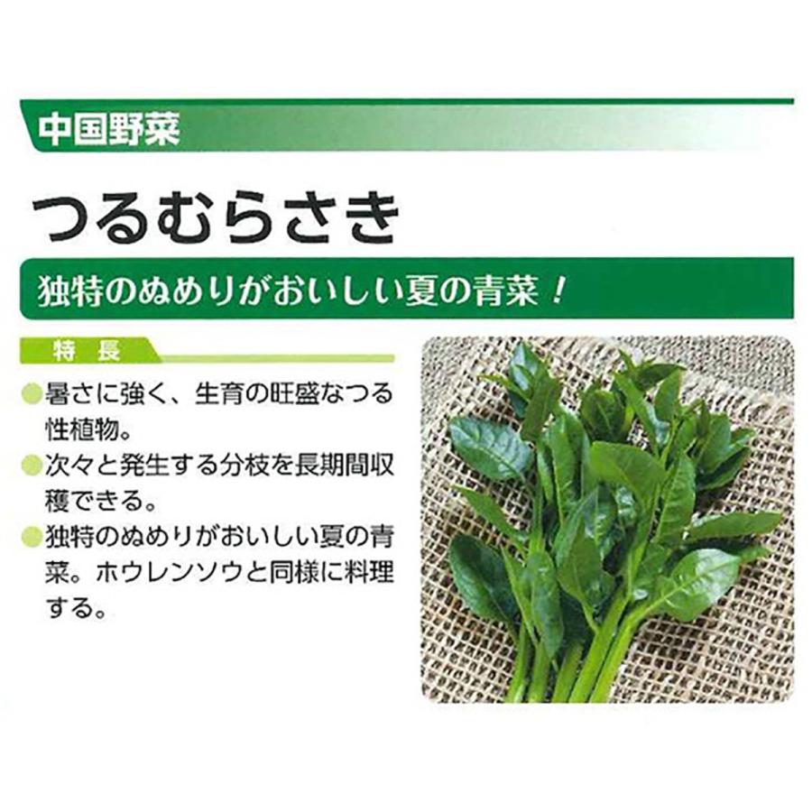 つるむらさき苗 赤茎 青茎見計い混合 野菜苗 9cmポット 3個セット 送料無料 Nae 野菜苗 植物 青果物販売のitanse 通販 Yahoo ショッピング