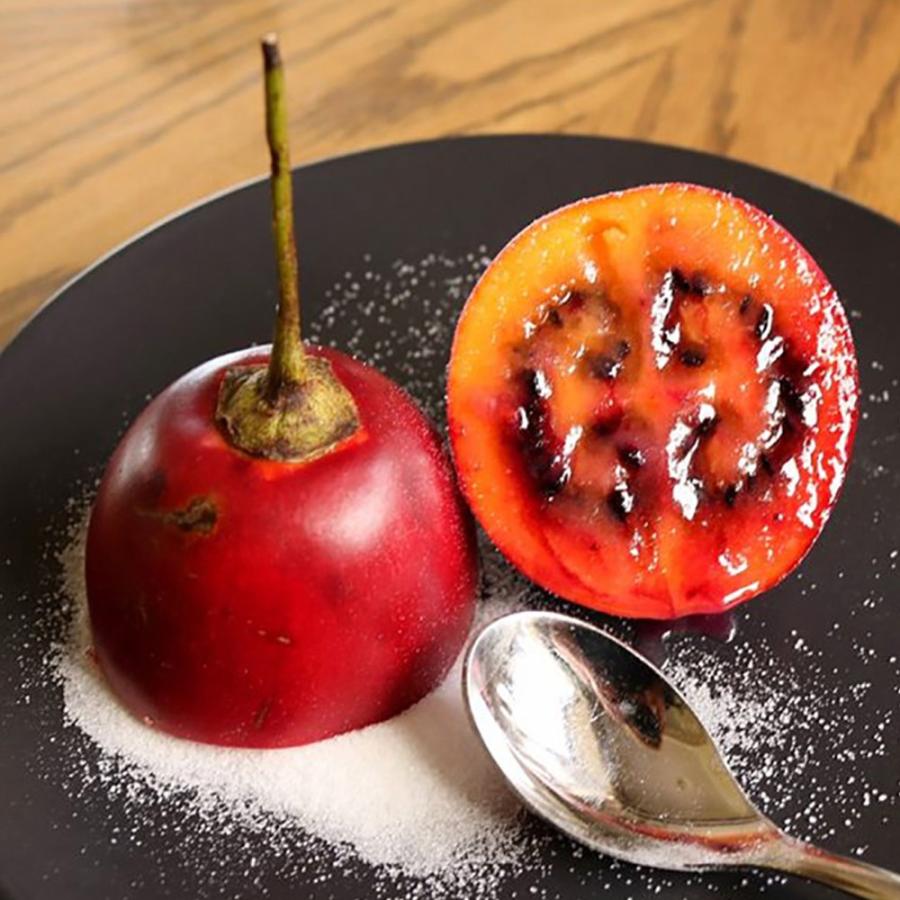 ITANSE トマトの木 タマリロ 果樹苗 自根苗 10.5cmポット 2個セット 送料無料 たまりろ 苗 イタンセ公式 |  | 04