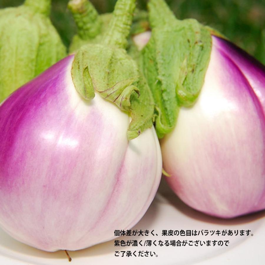 ITANSE ナスの苗 ロッサビアンコ 野菜苗 自根苗 9cmポット 2個セット イタリア品種 送料無料 茄子 なす ナス 苗 イタリアナス イタンセ公式｜itanse｜06