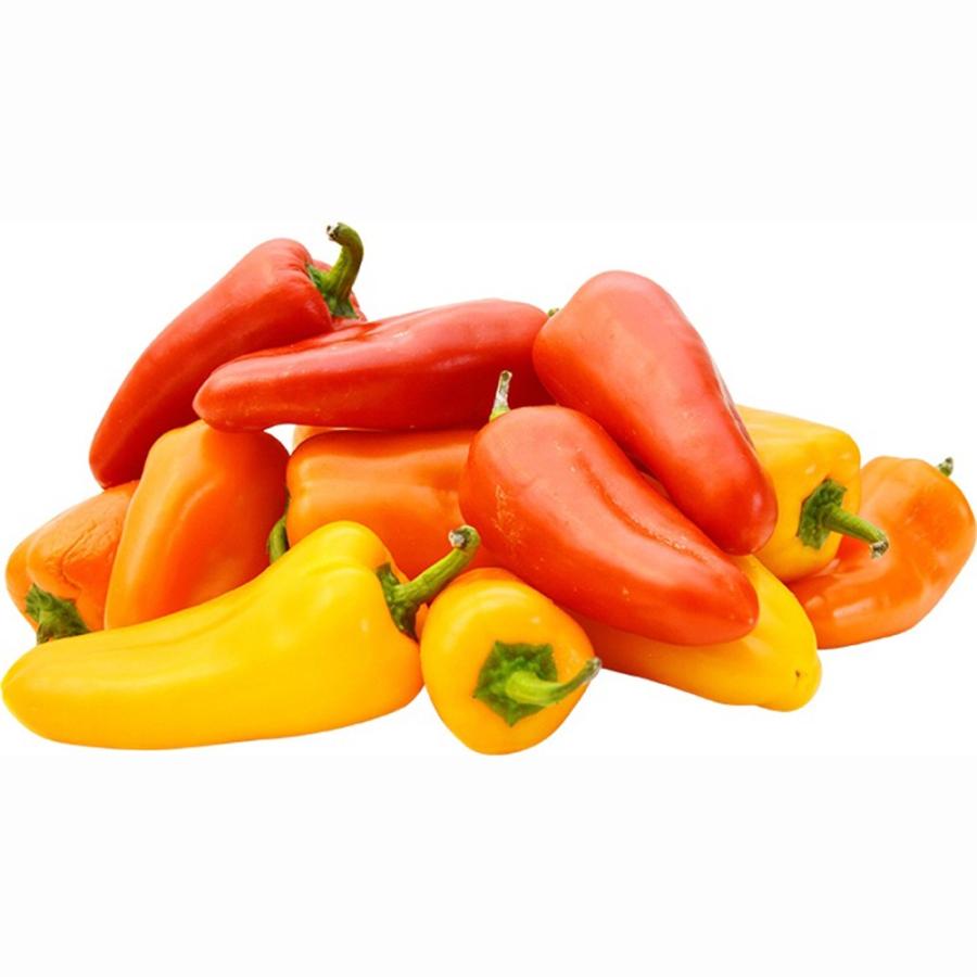 宅送 パプリカ苗 旨甘すずなりミニパプリカ 黄色実 野菜苗 自根苗 9cmポット 4個セット 送料無料