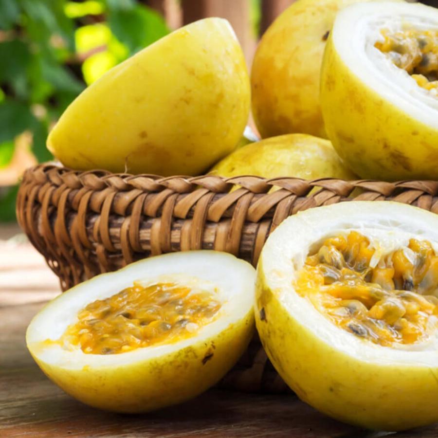 果樹苗 イエローパッションフルーツ 10 5cm 2個セット 送料無料 Nae 野菜苗 植物 青果物販売のitanse 通販 Yahoo ショッピング