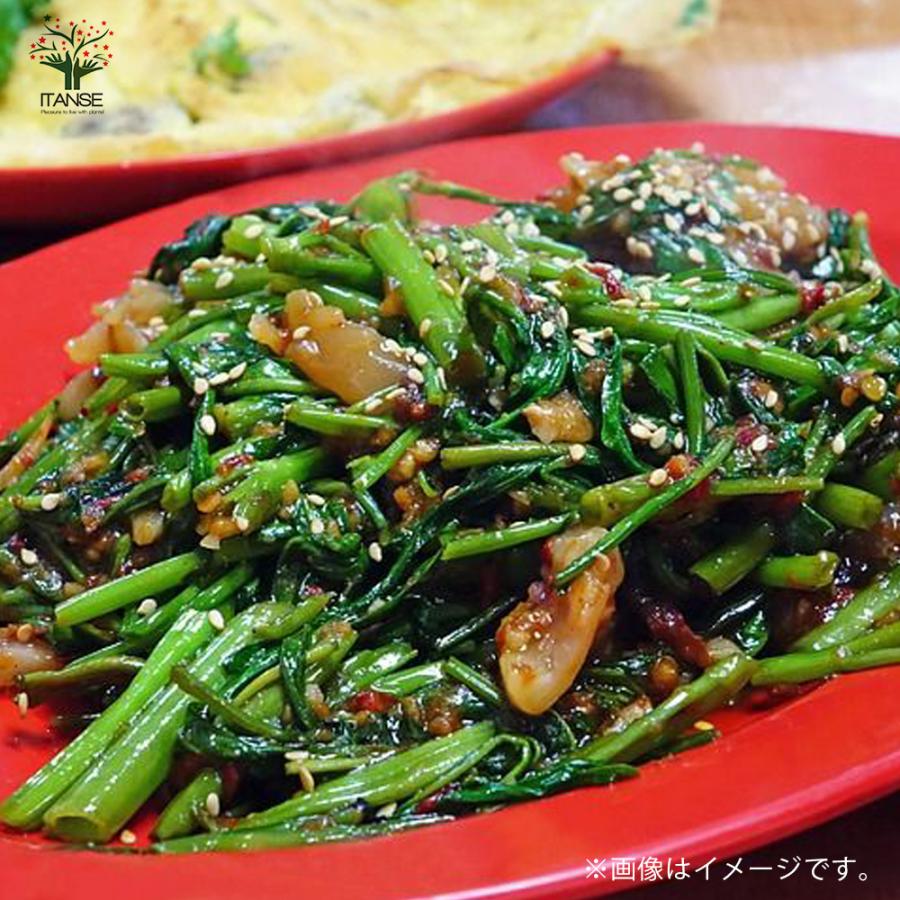 在庫処分 つるなしエンサイ 野菜苗 9cmポット 2個セット 送料無料 Wantannas Go Id