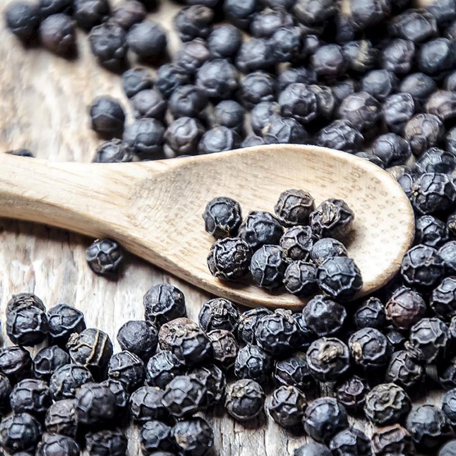 ITANSE 果樹苗 黒胡椒(コショウ)苗 9cmポット 挿木苗 1個 胡椒苗