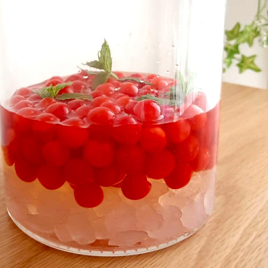 ユスラウメ 赤実 2年生 接木苗 15cmポット 苗木 1個 送料無料 Nae 野菜苗 植物 青果物販売のitanse 通販 Yahoo ショッピング