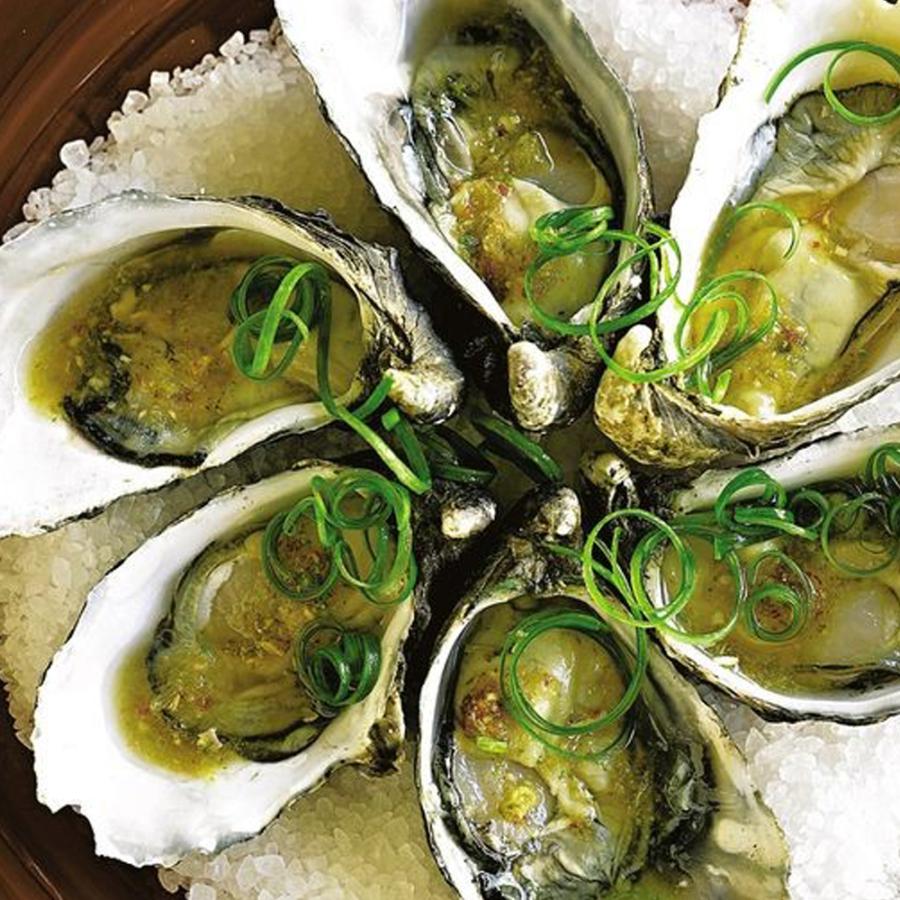 ITANSE フィンガーライムの苗 グリーンアルストンビル 果樹の苗 接木苗