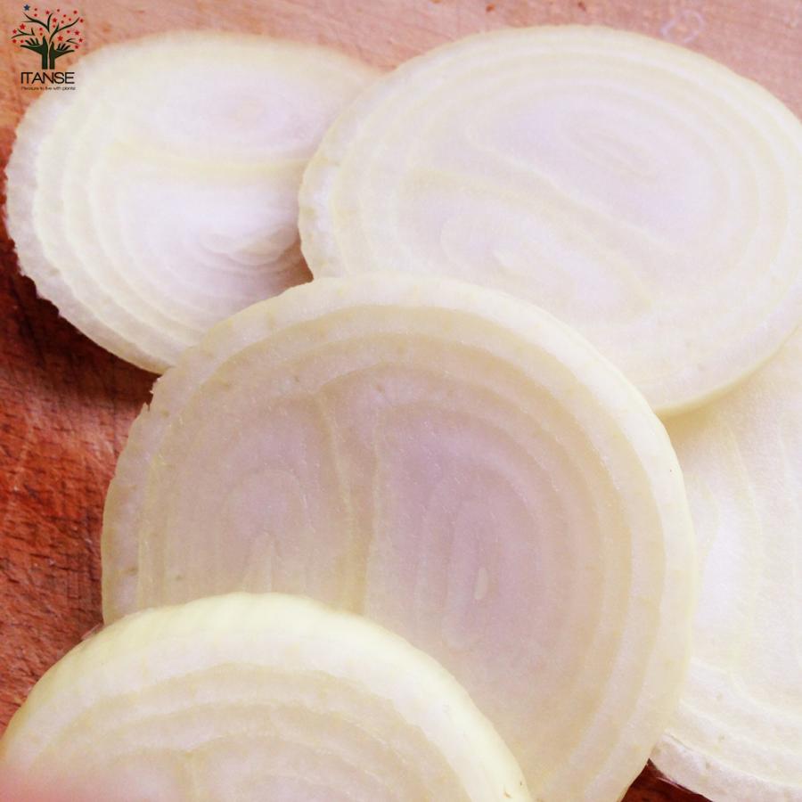 ITANSE 玉ねぎ抜き苗 品種：もみじ3号(晩生) 野菜の苗 約300本 (50本×6