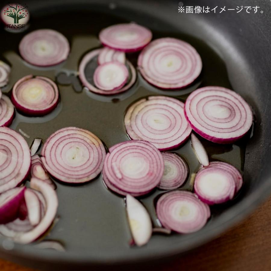 ITANSE 玉ねぎ抜き苗 品種：くれない赤タマネギ(中生) 野菜の苗 約500