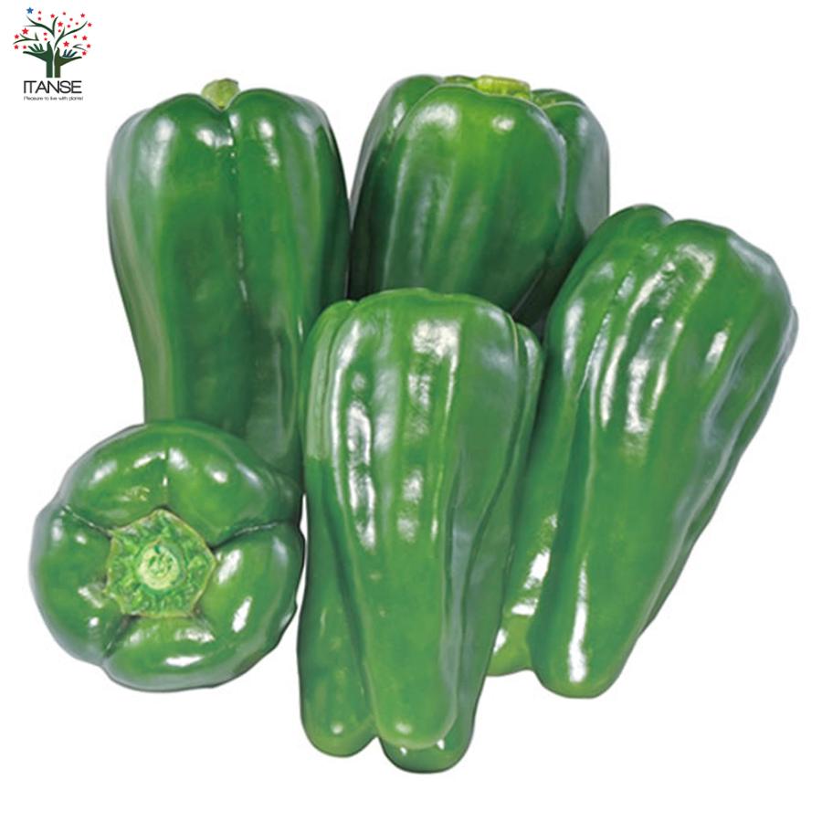 ピーマンの苗 肉厚甘味ピーマン 苦くないピーマン 野菜苗 自根苗 10 5cmポット 2個セット 人気 送料無料 ぴーまん ピーマン 苗 Nae 野菜苗 植物 青果物販売のitanse 通販 Yahoo ショッピング