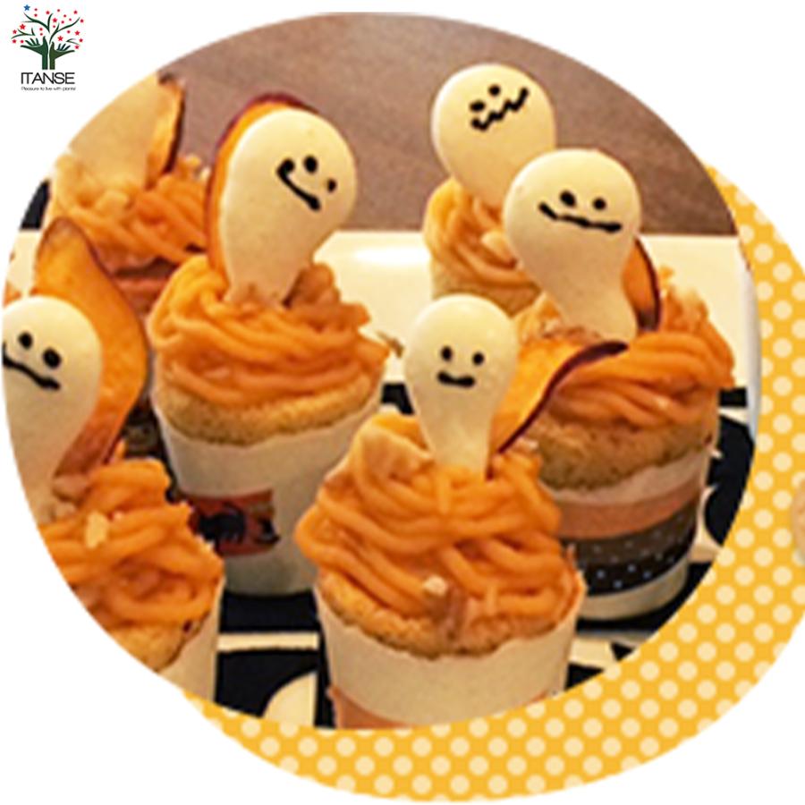 ITANSE さつまいも切苗 品種：ハロウィンスイート 予約商品 野菜の苗