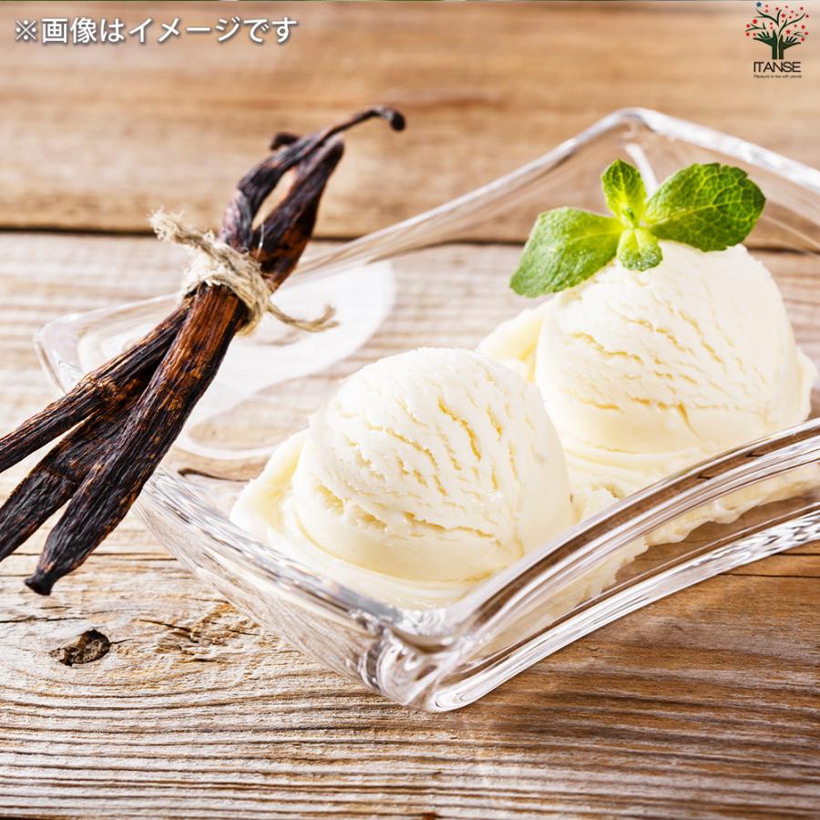 ITANSE バニラの木 花苗 10.5cmポット/1個売り バニラの苗木