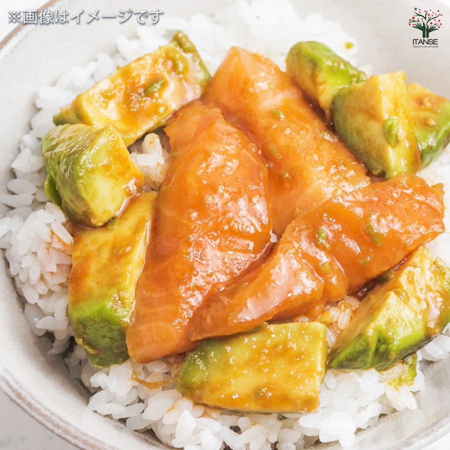 ITANSE アボカド メキシコーラ 果樹の苗木 4.5号ロングポット 接木苗/1個売り  アボガド 果樹苗 ワニナシ 鰐梨 森のバター |  | 07