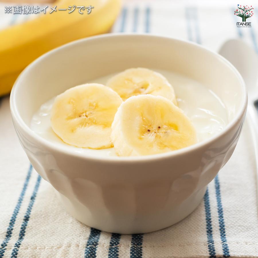 ITANSE バナナの苗 アイスクリーム ブルーバナナ メリクロン苗 果樹の