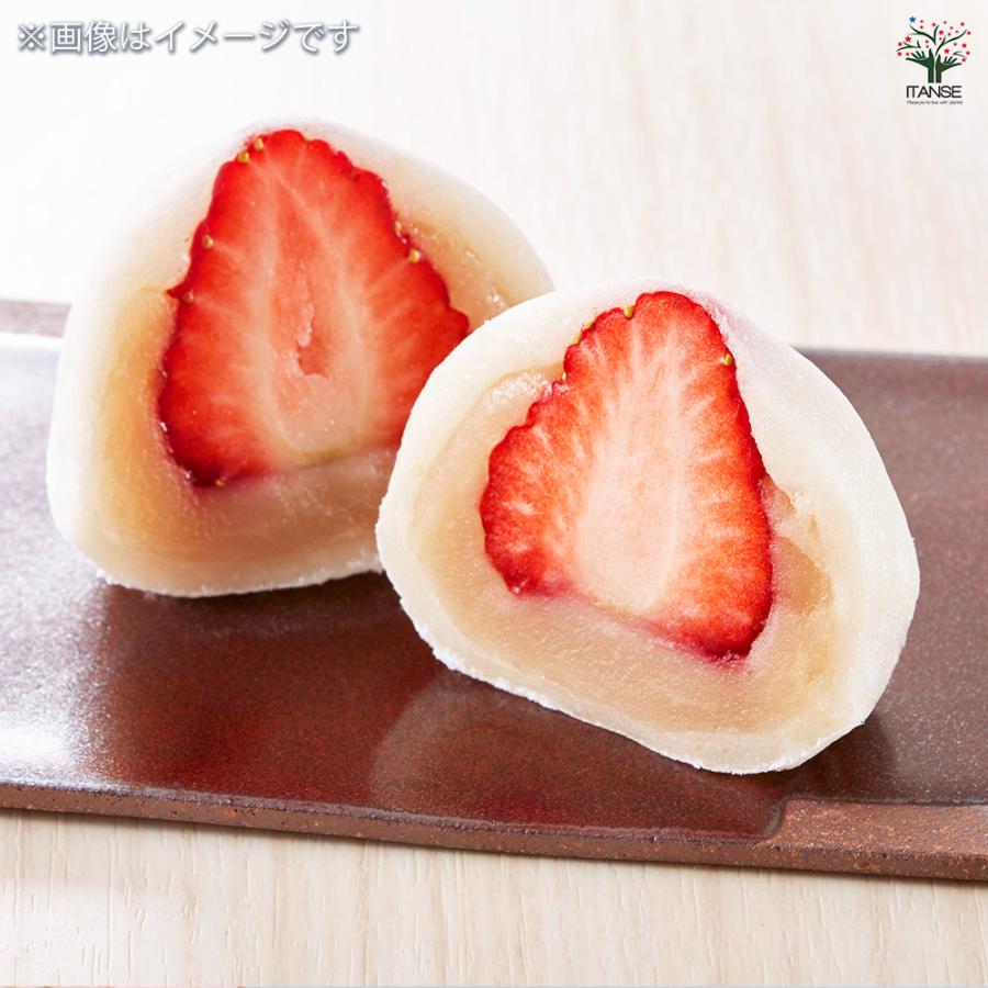 いちごの苗 桃薫 野菜の苗 9cm/お買い得9個セット イチゴ苗 イチゴの苗 苺苗 苺の苗 甘い 美味しい 糖度 ストロベリー苗の画像