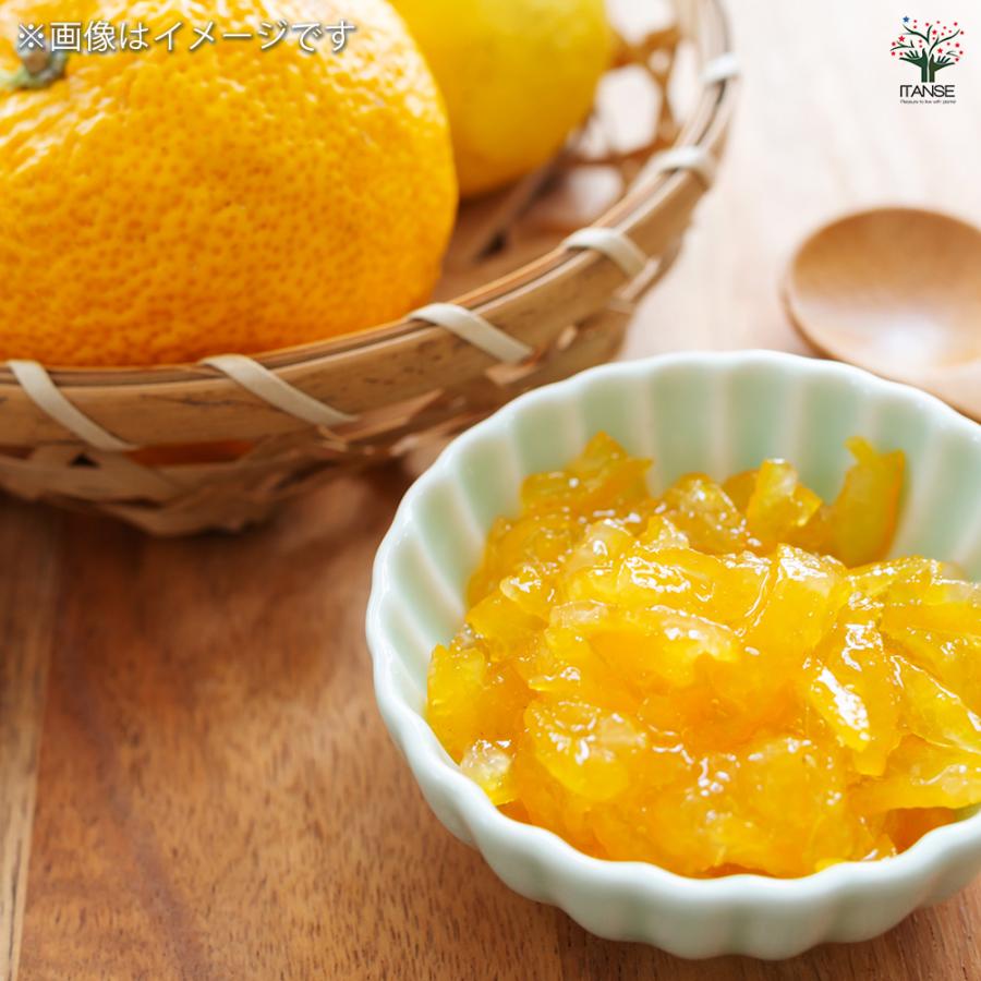 一才ゆず 花ユズ 黒鉢 果樹の苗木 6号/1個売り 花柚子 ハナユズ 一才