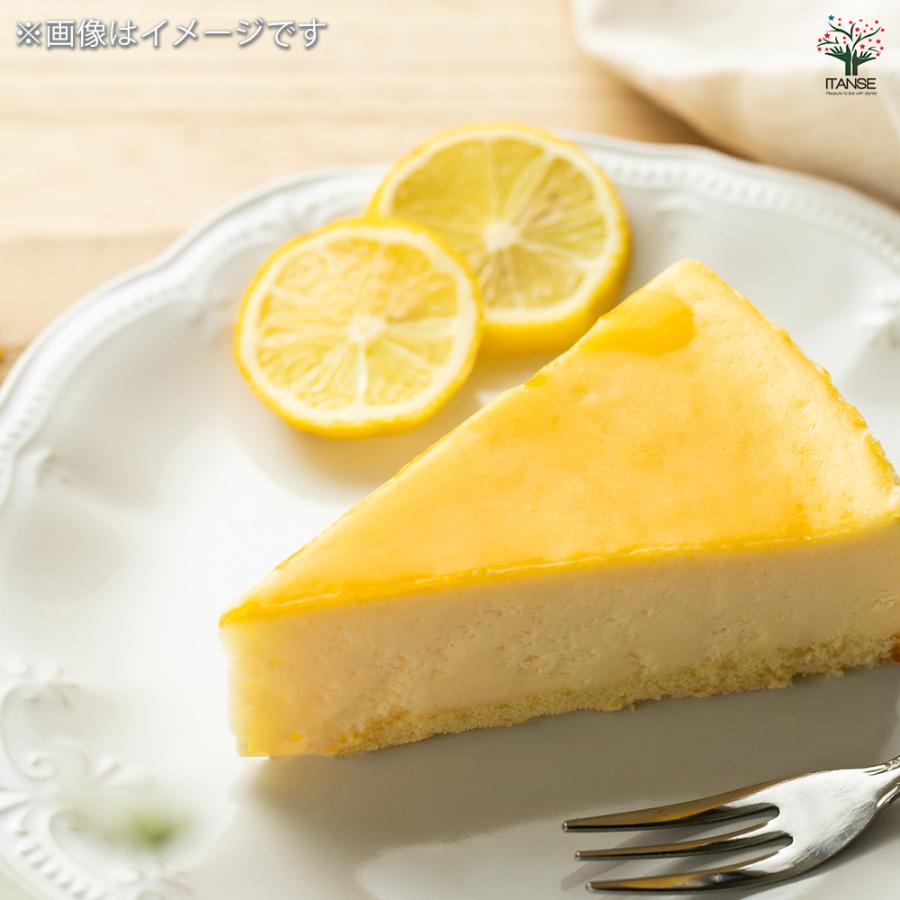 レモンの苗木 スイートレモネード 接ぎ木 果樹の苗木 3号ポット/1個
