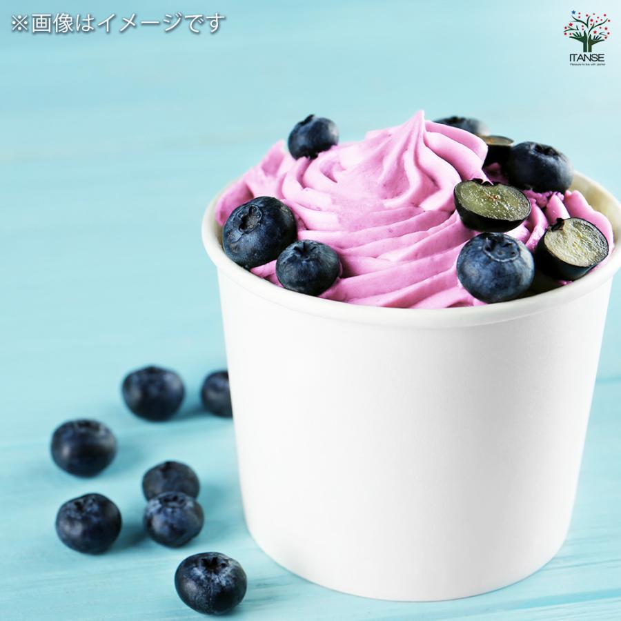 ブルーベリー レガシー 果樹の苗木 5号ポット/1個売り 果樹 果樹苗