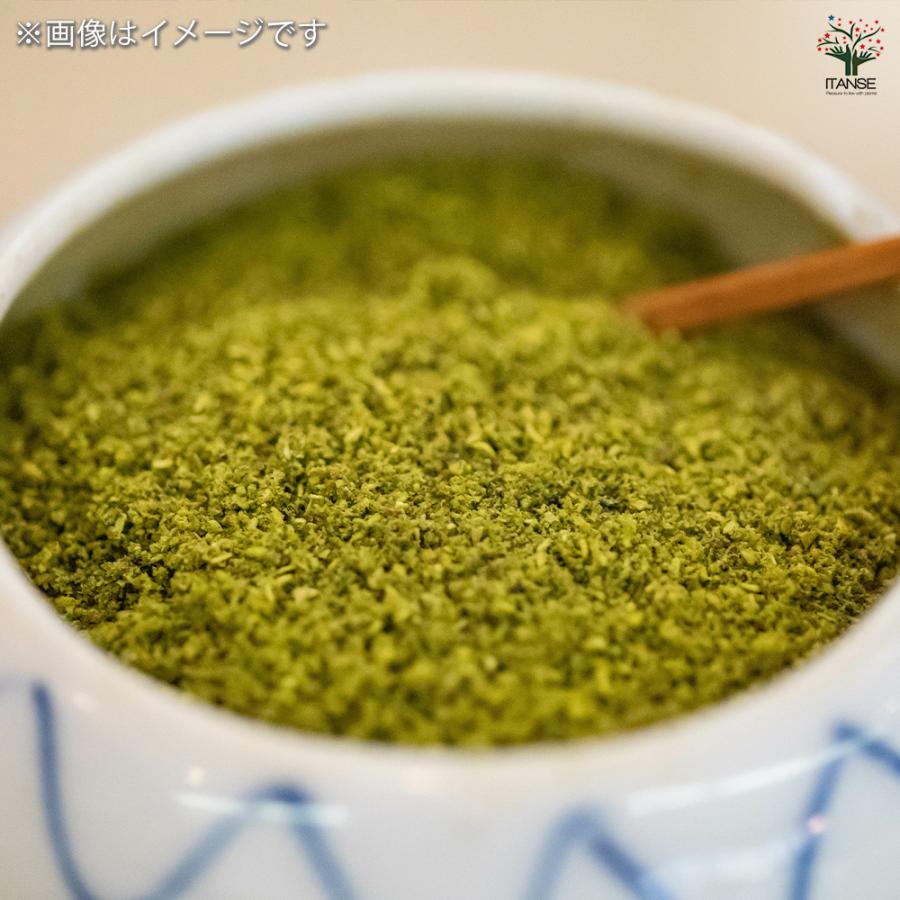 山椒の苗木 ウルトラぶどう山椒 果樹の苗木 12cmポット/1個売り 果樹苗