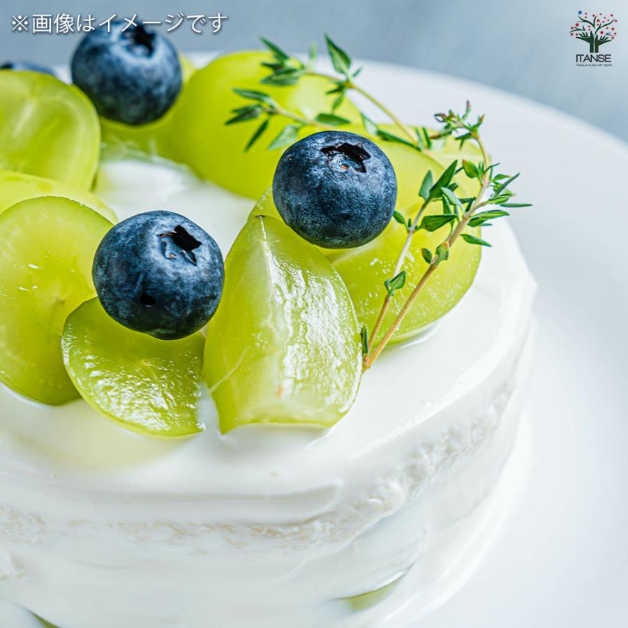 ぶどうの苗 天山 果樹の苗木 5号/1個売り ぶどう苗 ブドウ苗 葡萄苗