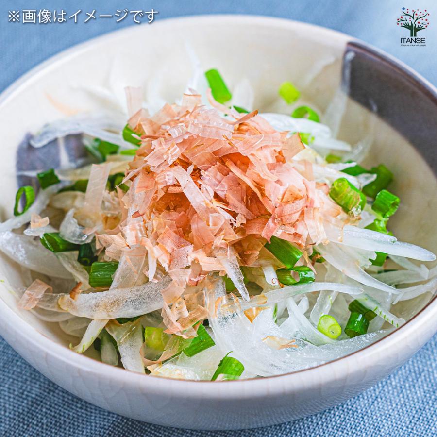 玉ねぎの苗 白玉ねぎ 野菜の苗 3.5号/1個売り ねぎ苗 ネギ 葱 玉ねぎ