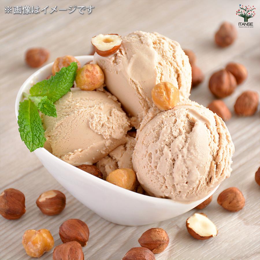 ヘーゼルナッツの苗木 ウェブズプライズ 果樹の苗木 4号/1個売り