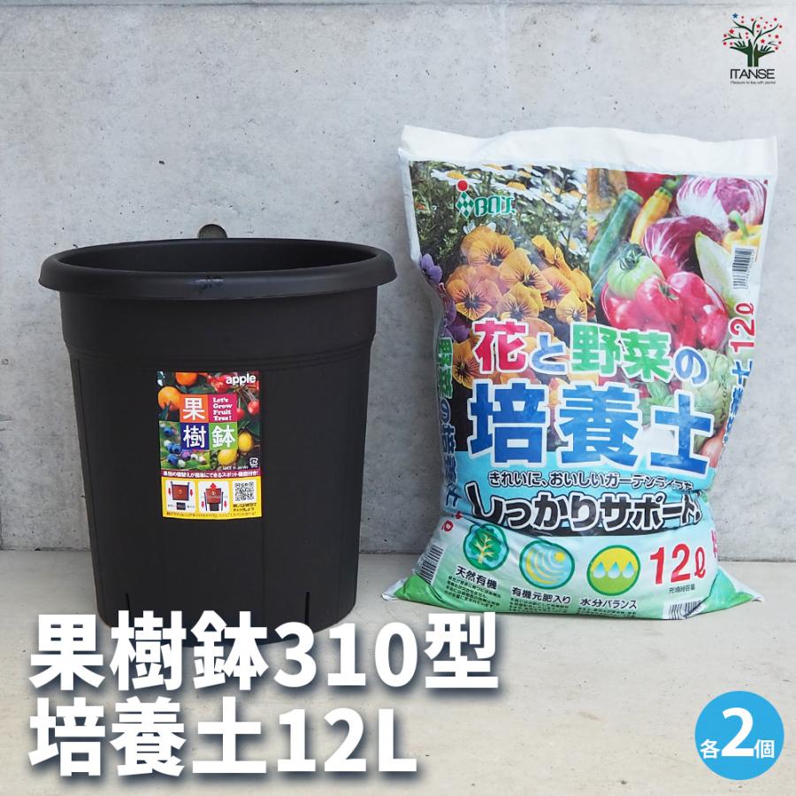 ITANSE 植木鉢 果樹鉢&培養土12L プラ鉢 310型&培養土12L/お買い得2個