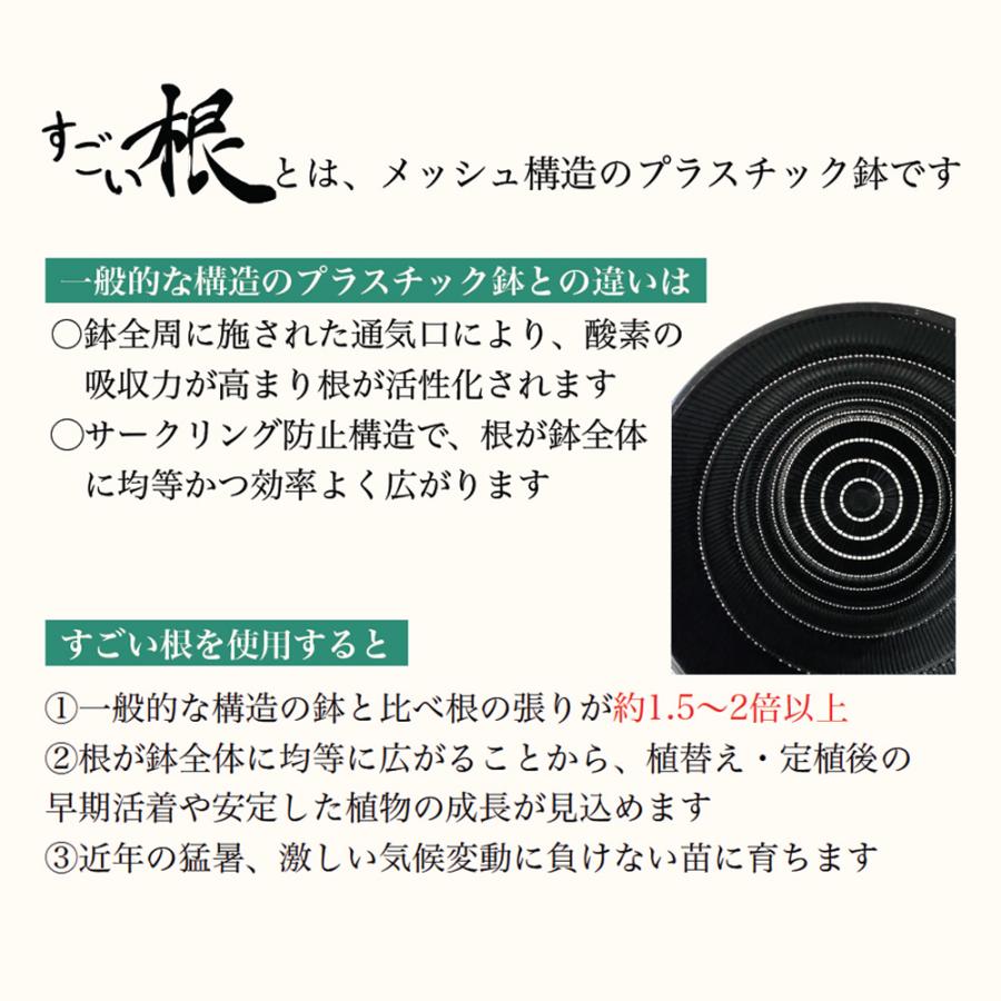 すごい根 丸鉢 資材 5号/お買い得10個セット 植木鉢 プランター 鉢 便利 使いやすい 土いじり ガーデニング 植物 栽培 庭 庭植え 地植え_2
