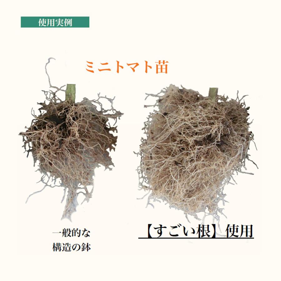すごい根 丸鉢 資材 5号/お買い得10個セット 植木鉢 プランター 鉢 便利 使いやすい 土いじり ガーデニング 植物 栽培 庭 庭植え 地植え_3