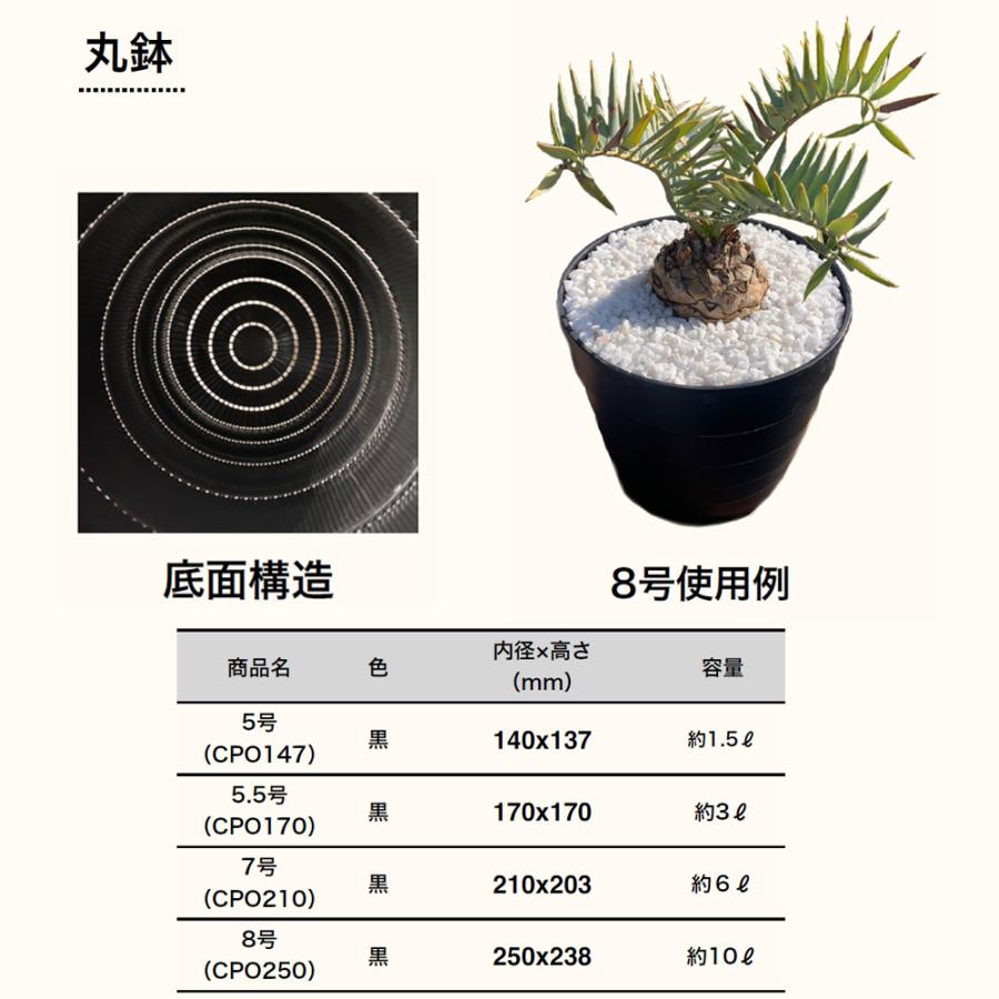 すごい根 丸鉢 資材 8号/お買い得2個セット 植木鉢 プランター 鉢 便利 使いやすい 土いじり ガーデニング 植物 栽培 庭 庭植え 地植え_1