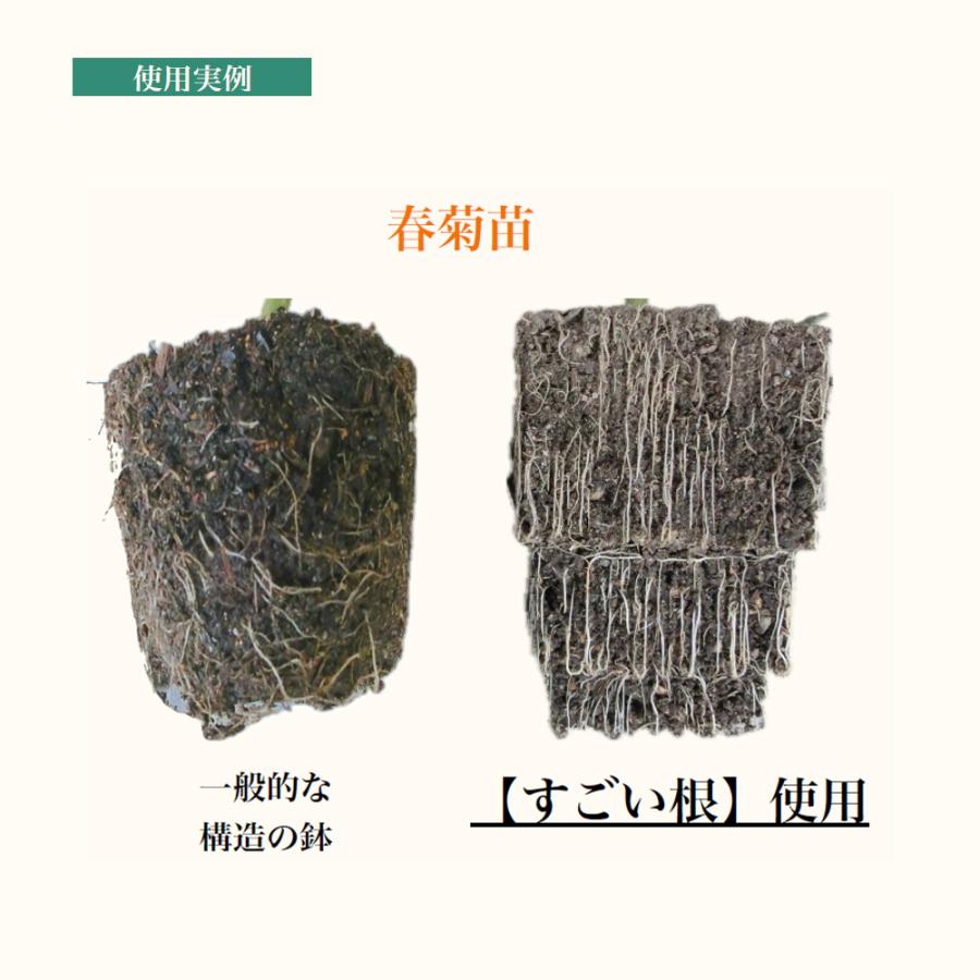 すごい根 丸鉢 資材 8号/お買い得2個セット 植木鉢 プランター 鉢 便利 使いやすい 土いじり ガーデニング 植物 栽培 庭 庭植え 地植え_4