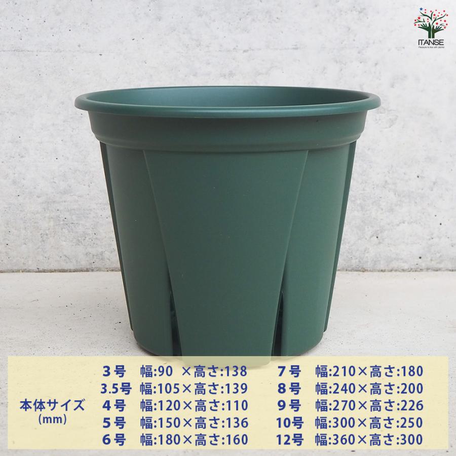 ITANSE 植木鉢 根っこつよし グリーン プラ鉢 3号5P/お買い得3個セット