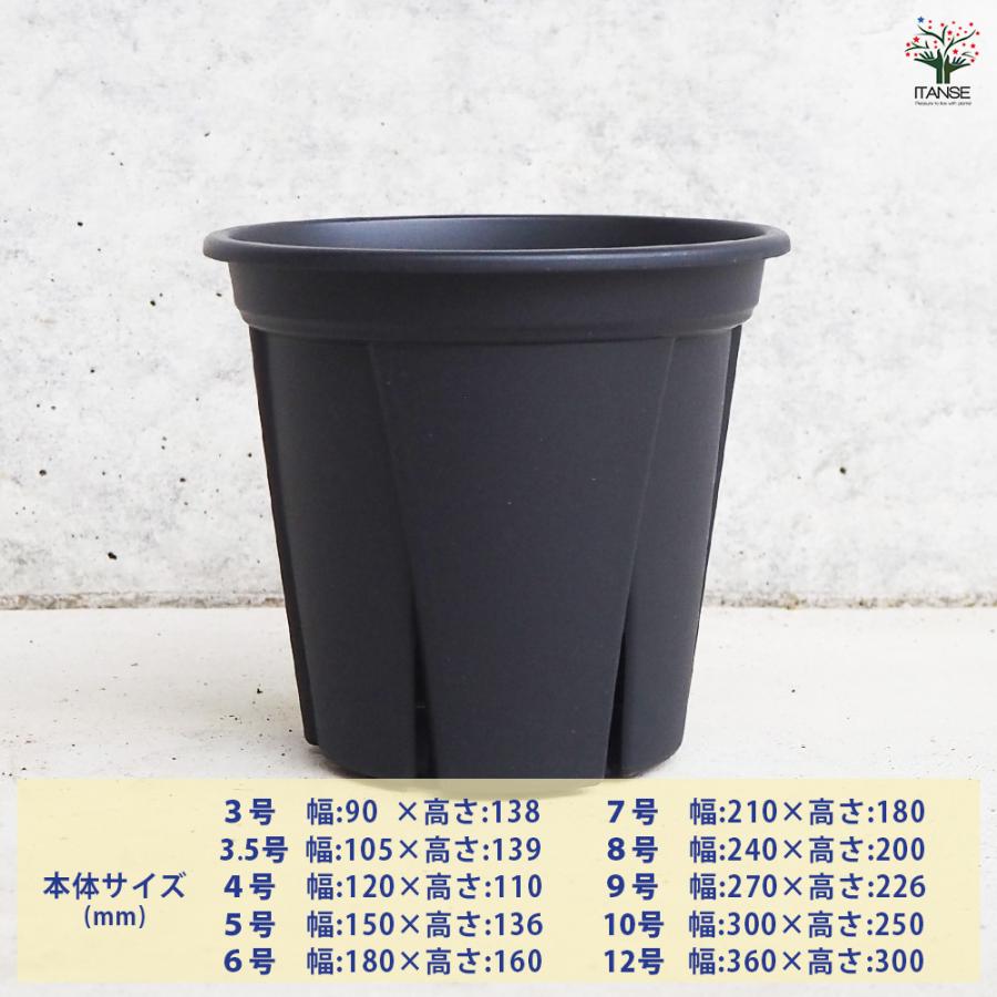 ITANSE 植木鉢 根っこつよし ブラック プラ鉢 3.5号4P/お買い得20個セット プランター かわいい おしゃれ 植木鉢_2