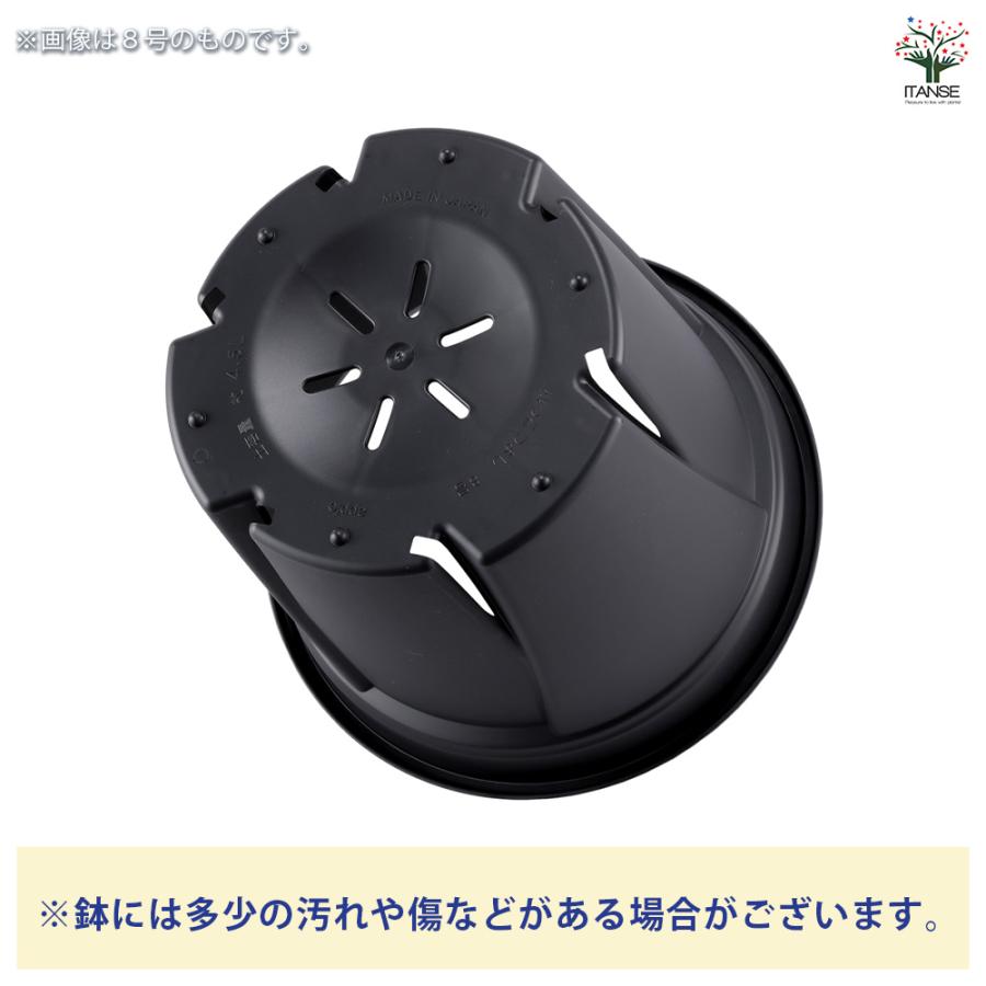ITANSE 植木鉢 根っこつよし ブラック プラ鉢 3.5号4P/お買い得20個セット プランター かわいい おしゃれ 植木鉢_3