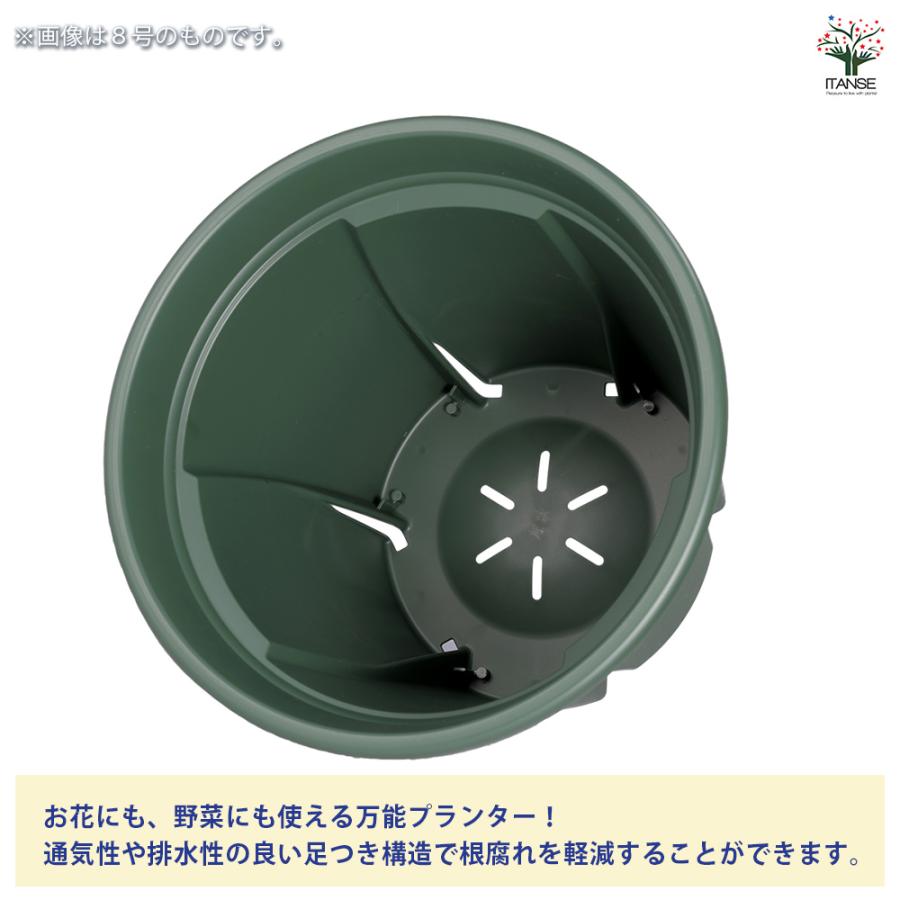 ITANSE 植木鉢 根っこつよし グリーン プラ鉢 3.5号4P/お買い得20個セット プランター かわいい おしゃれ 植木鉢_1