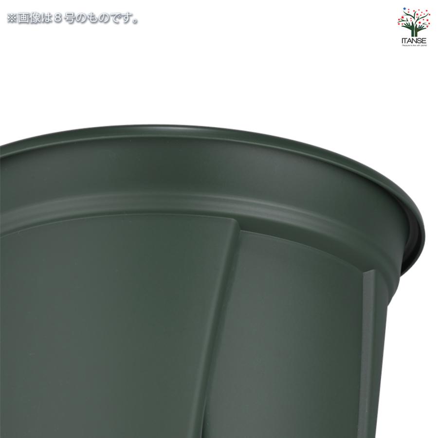 ITANSE 植木鉢 根っこつよし グリーン プラ鉢 3.5号4P/お買い得20個セット プランター かわいい おしゃれ 植木鉢_4