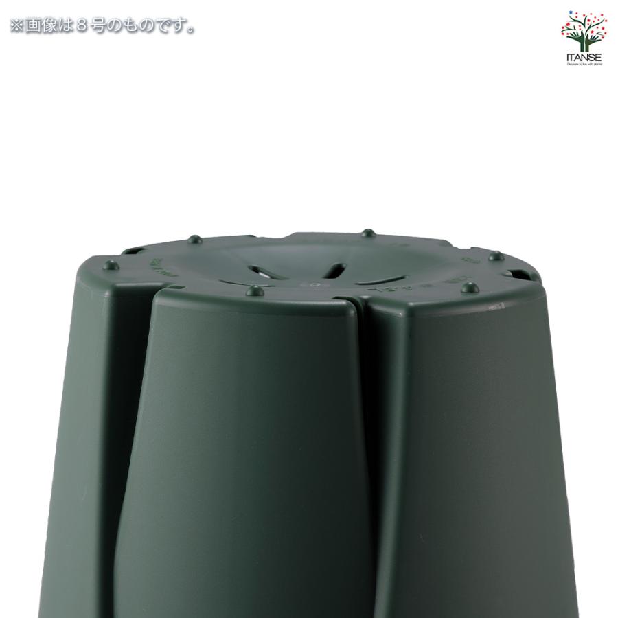 ITANSE 植木鉢 根っこつよし グリーン プラ鉢 3.5号4P/お買い得20個セット プランター かわいい おしゃれ 植木鉢_5