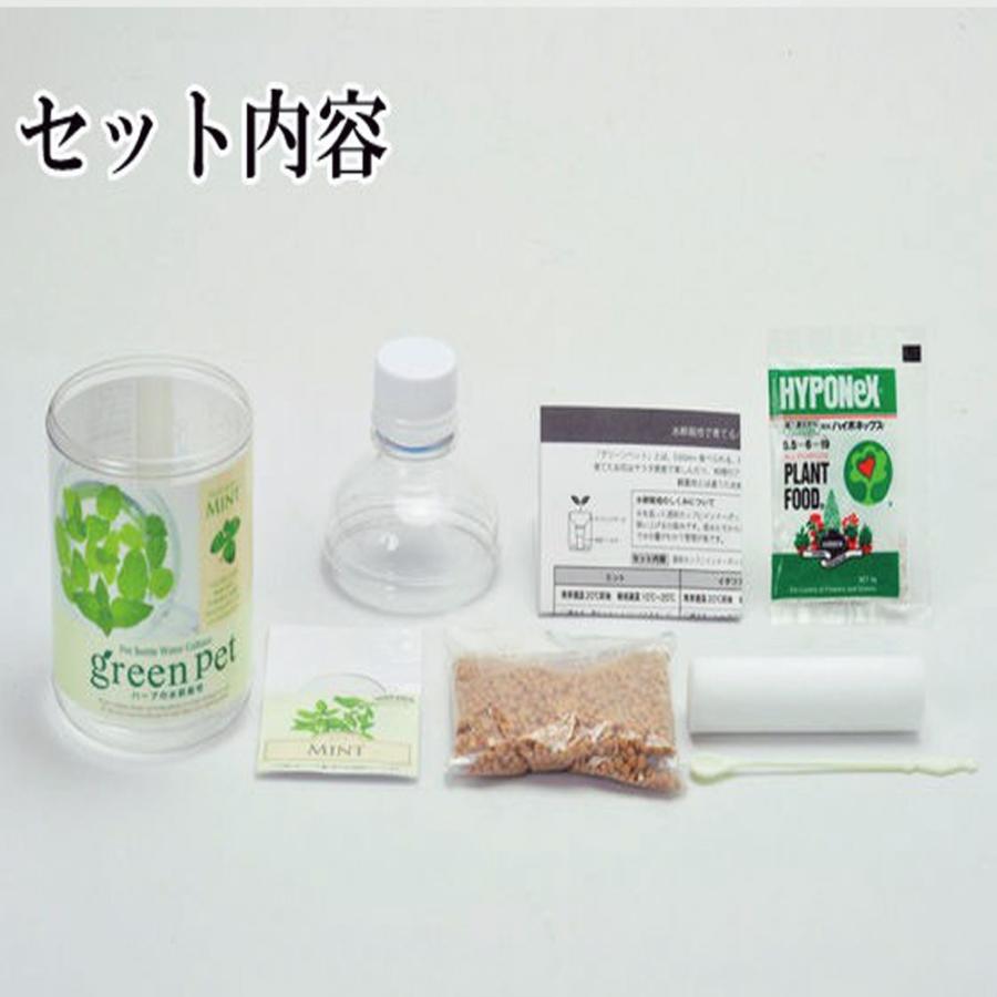 最安価格 ミント 育てるグリーンペット ペットボトルで育てる水耕栽培セット 送料無料 1個 栽培キット