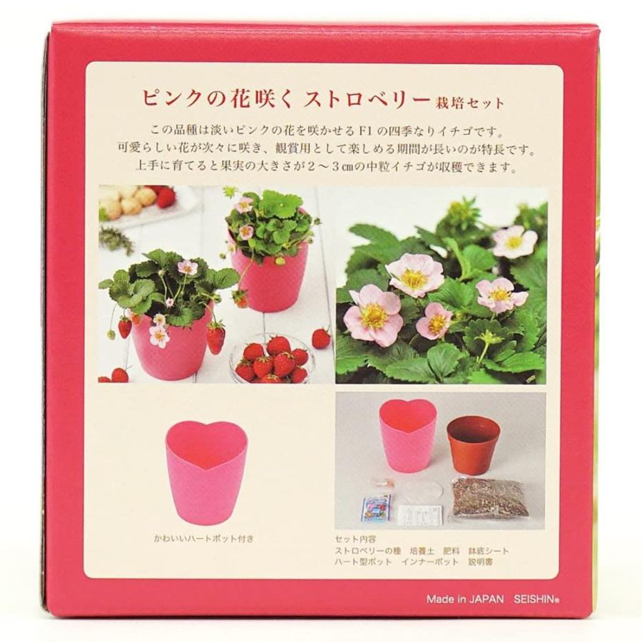 栽培キット ピンクの花咲くストロベリー栽培セット 1個 イチゴ栽培セット 簡単栽培キット セット販売 セット商品 送料無料 Sai000 野菜苗 植物 青果物販売のitanse 通販 Yahoo ショッピング