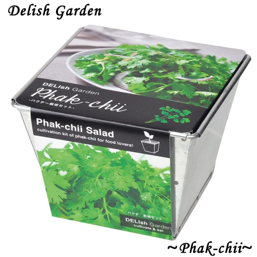 栽培キット デリッシュガーデン パクチー 1個 簡単栽培セット セット販売 セット商品 送料無料 Sai 野菜苗 植物 青果物販売のitanse 通販 Yahoo ショッピング