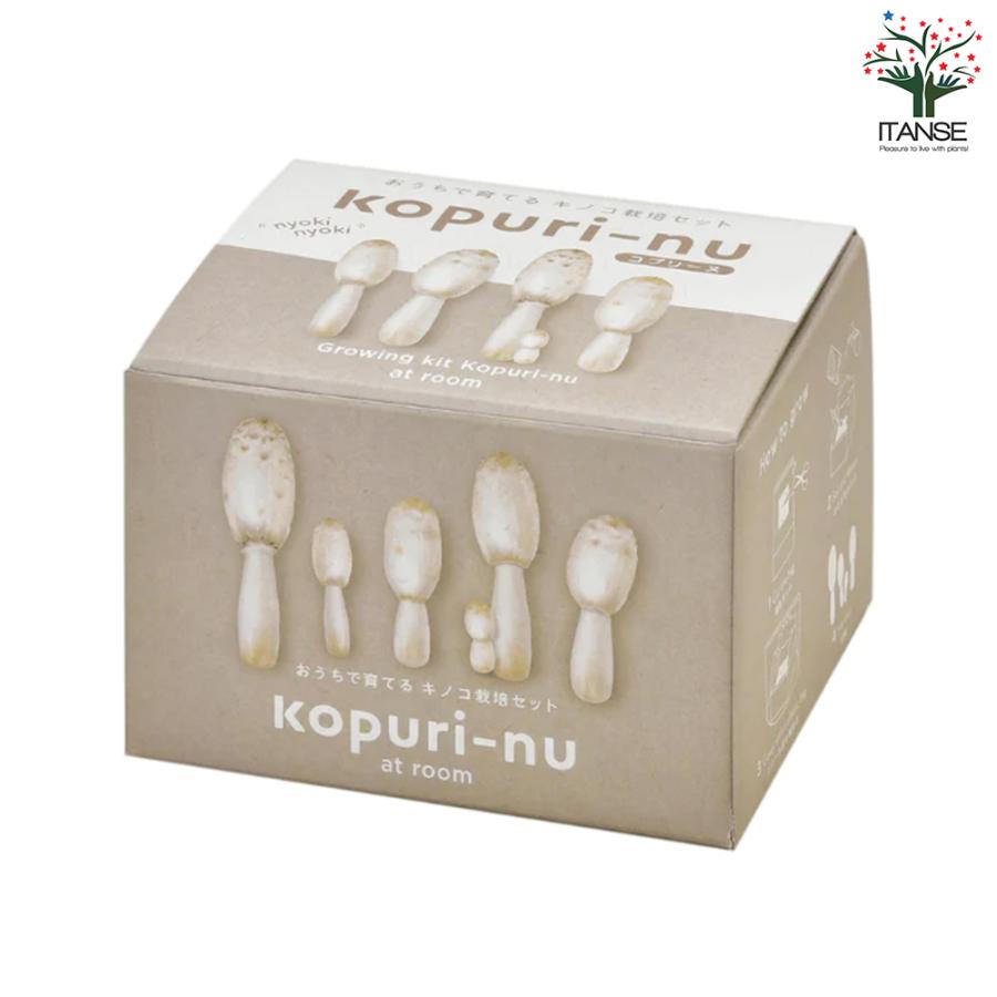 ITANSE おうちで育てるキノコ栽培セット コプリーヌ 栽培キット 1個売り 送料無料 イタンセ公式