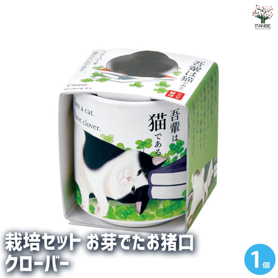 栽培セット お芽でたお猪口 吾輩 四葉のクローバー /1個売り 簡単