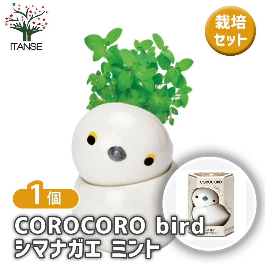 栽培セット COROCORO bird シマエナガ ミント /1個売り 簡単キット