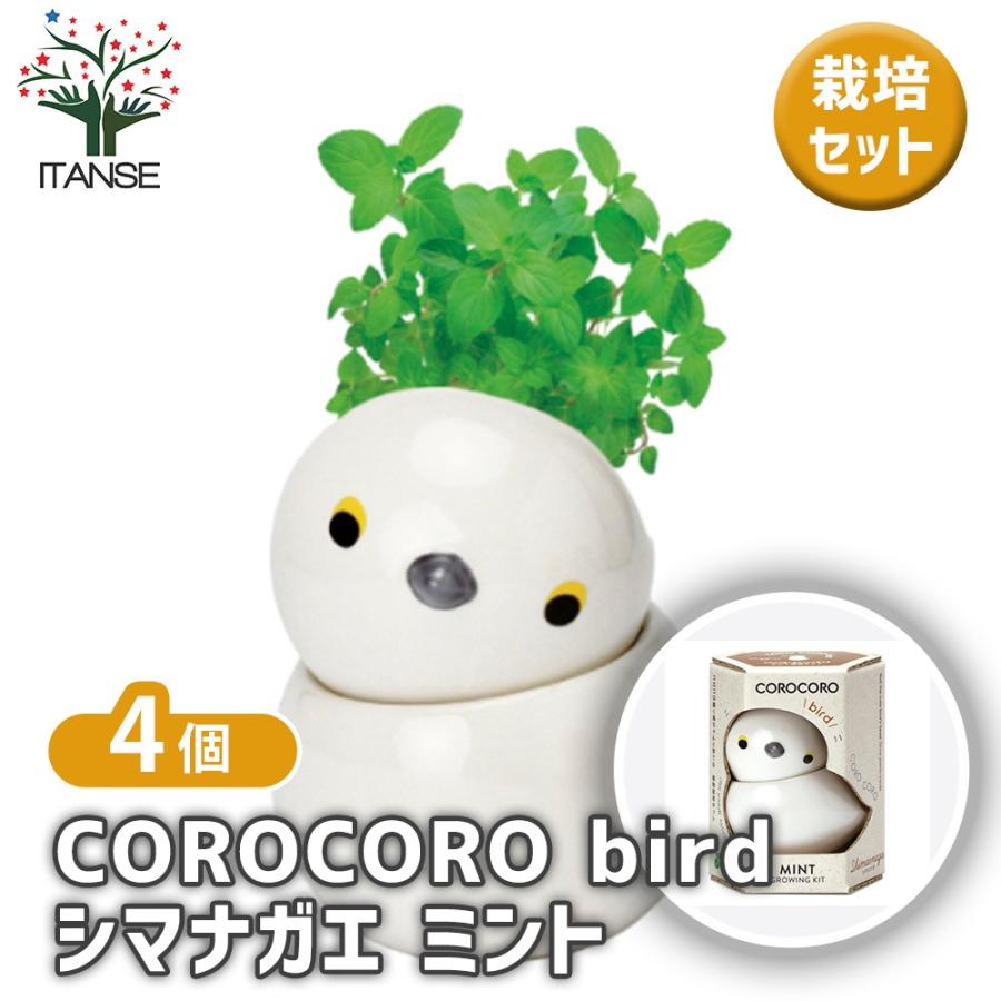 栽培セット COROCORO bird シマエナガ ミント /お買い得4個セット 簡単