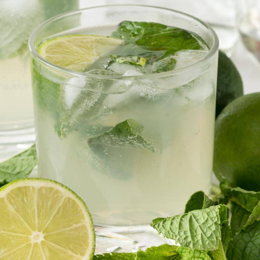 21公式店舗 ハーブ苗 モヒートミント イエルバブエナ 10 5cmポット 2個セット 送料無料 キューバミント おうちで簡単 育てやすいハーブ苗 Aynaelda Com