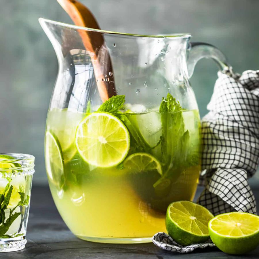 21公式店舗 ハーブ苗 モヒートミント イエルバブエナ 10 5cmポット 2個セット 送料無料 キューバミント おうちで簡単 育てやすいハーブ苗 Aynaelda Com