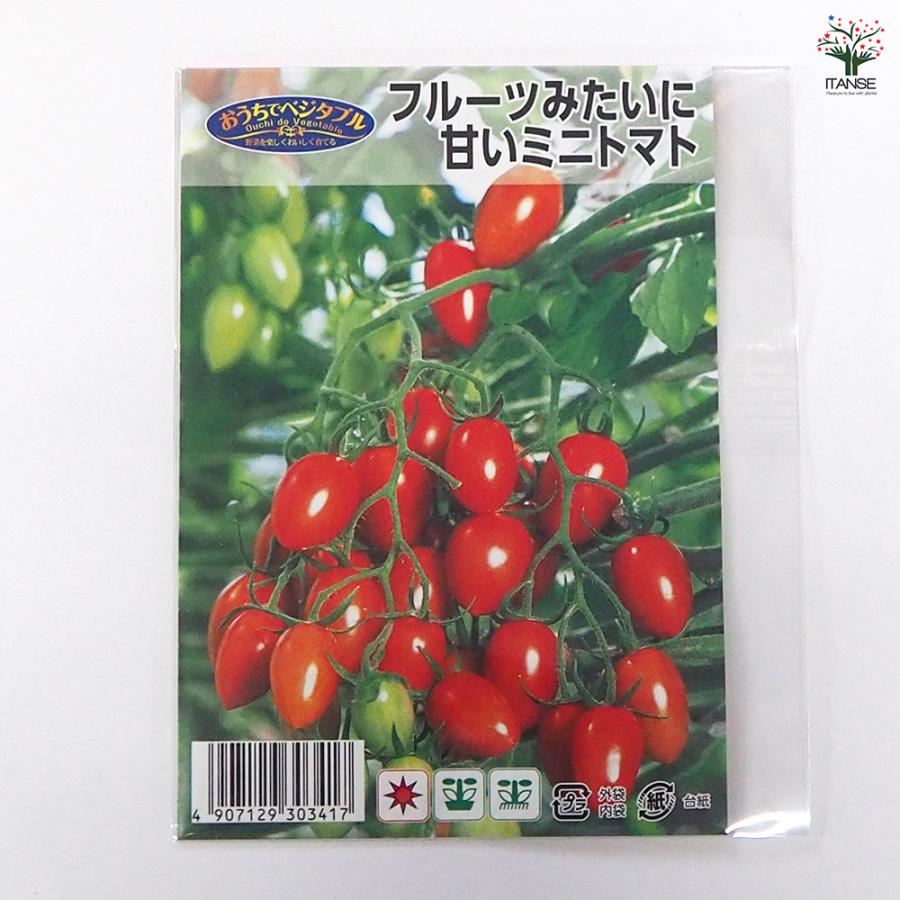 種子 フルーツみたいに甘いミニトマト 約10粒/1袋売り 種 seed タネ