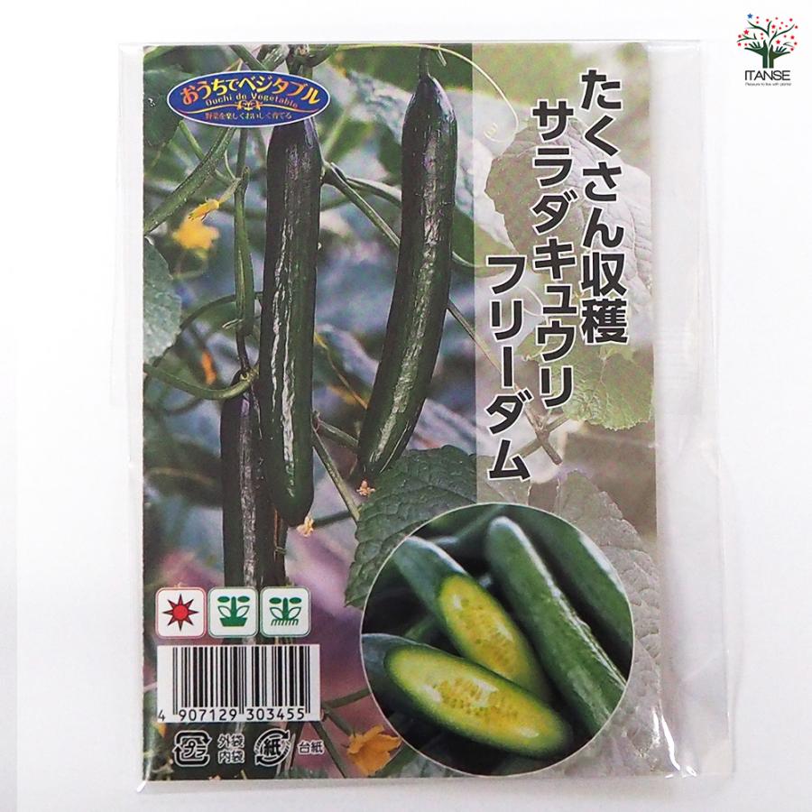 種子 たくさん収穫 サラダキュウリ フリーダム 約8粒/1袋売り 種 seed