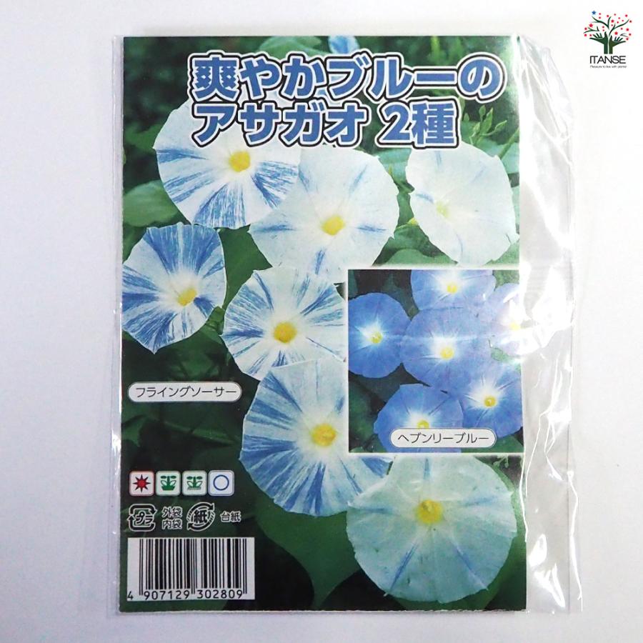 種子 爽やかブルーのアサガオ 各約15粒/1袋売り 種 seed タネ 植物の種