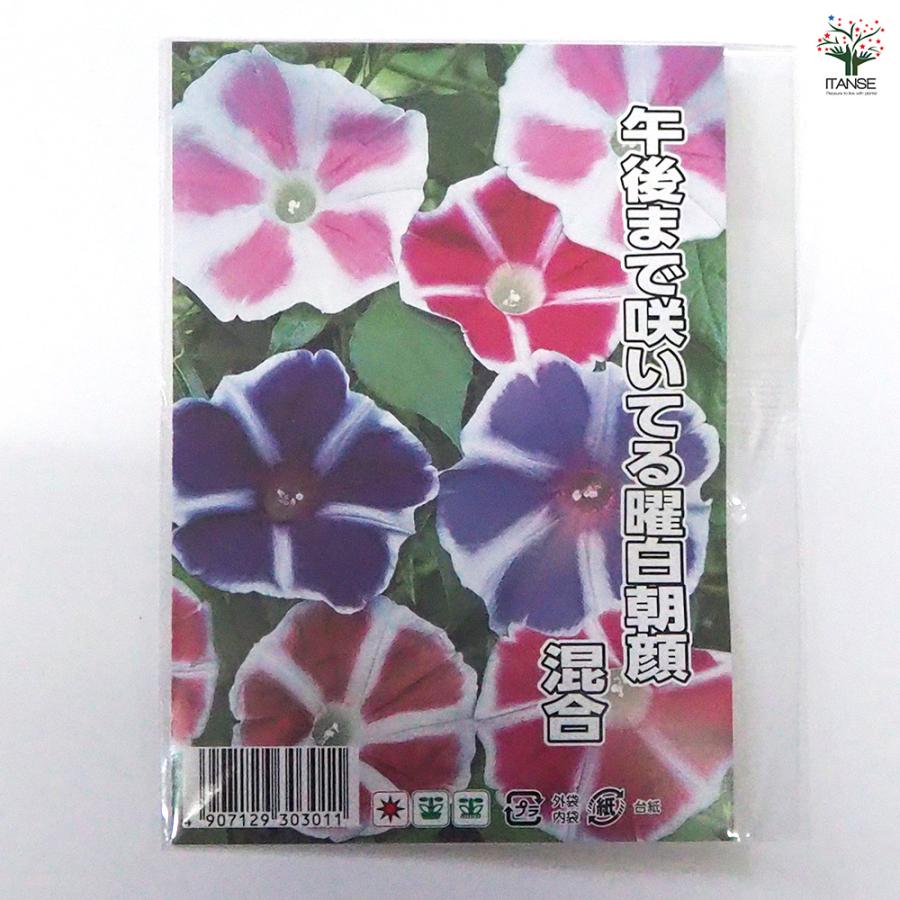 種子 午後まで咲いてる曜白朝顔 混合 約20粒/1袋売り 種 seed タネ