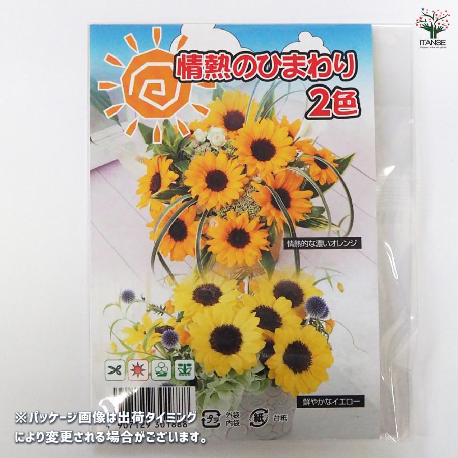 種子 情熱のひまわり 各約15粒/1袋売り 種 seed タネ 植物の種 栽培