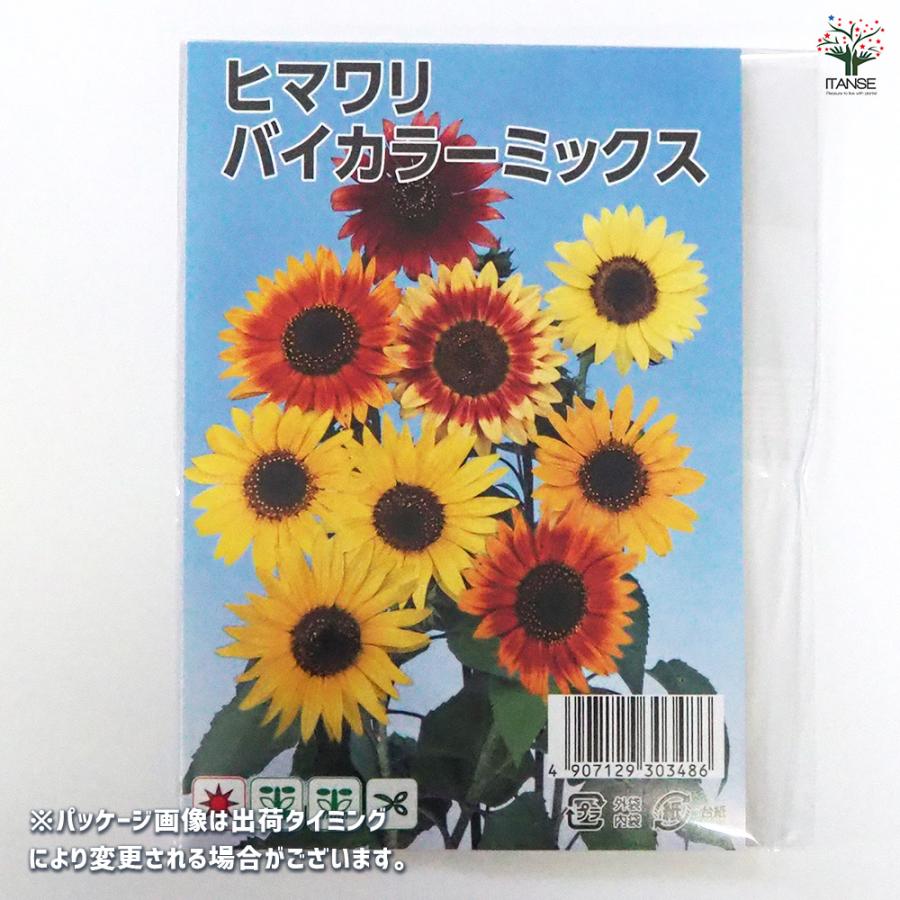 種子 ヒマワリ バイカラーミックス 約50粒/1袋売り 種 seed タネ 植物